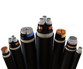 Cables & Conductors